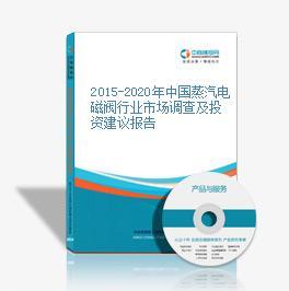 2016-2021年中國(guó)蒸汽電磁閥市場(chǎng)前景及融資戰(zhàn)略咨詢報(bào)告