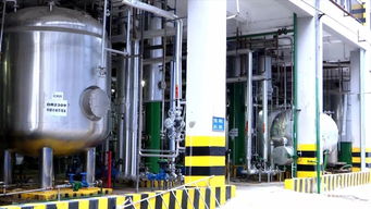 河源之光 新興能源技術研發領軍企業，產品遠銷歐非美洲